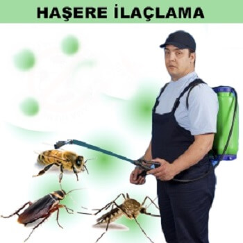 Köşk Böcek İlaçlama